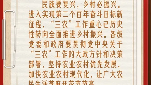 博卡青年对圣塔菲联赛事深度解析，同步比分解读指南